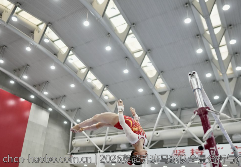 2026英超升班马球队全景分析与介绍