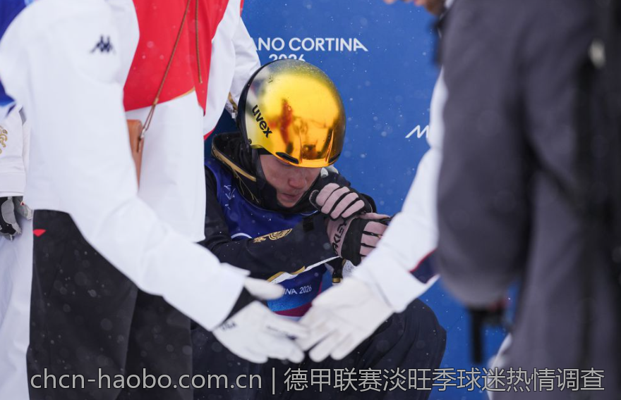 德甲联赛淡旺季球迷热情调查