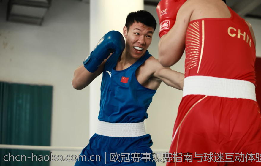 欧冠赛事观赛指南与球迷互动体验