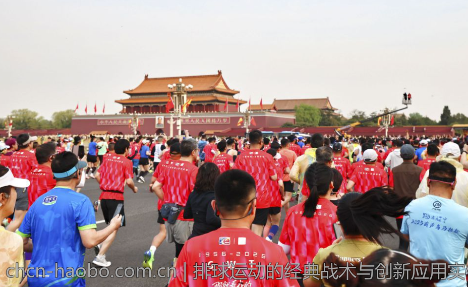 排球运动的经典战术与创新应用实例分析
